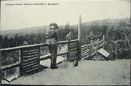 BURGDORF Wildpark Hotel Pension Rothöhe Gel. 1913 Bahnpost Langnau - Langnau Im Emmental