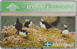 520/ Shetland; Puffins - BT Privé-uitgaven