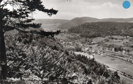 VORRA AN DER PEGNITZ-REAL PHOTO-1950 - Pegnitz