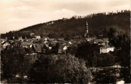 CPA AK Neustadt- Blick Zum Muppberg GERMANY (1006004) - Neustadt Waldnaab