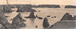 56-BELLE-ILE-MER-CARTE PANORAMIQUE-LES ILES DE DOMOIS (CÔTE SAUVAGE ) - Belle Ile En Mer