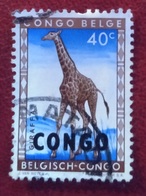 Girafe (Animaux) - République Du Congo - 1960 - YT 402 - Gebraucht