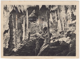 Die Säulenhalle In Der Rübeländer Baumannshöhle - (1953 Harzheimat-Kalender) - Harzgerode