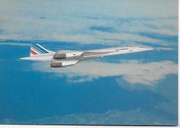 CPSM - AVION CONCORDE QUADRIREACTEUR SUPERSONIQUE A AILE DELTA DANS LES AIRS - Aerodrome