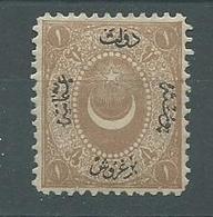 200035315  TURQUIA  YVERT  TAXE  Nº   11  */MH - Postage Due