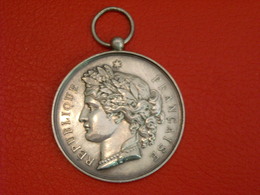 Médaille Argent - Concours Du Parc Saint Maur , 22 Aout 1886 - Royaux / De Noblesse