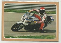 SUZUKI 1000 PER GARE SUPERBIKE - NV FG - Moto Sport