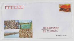 Sea Cucumber,Shrimp Aquaculture,Net Fishing,CN 08 Lijin Oceanic And Fishery Bureau Advert Postal Stationery Envelope - Alimentation