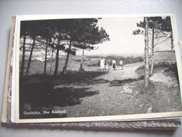 Nederland Holland Pays Bas Ameland Nes Wandelaars Op Pad Door Dennen - Ameland