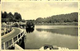 027 515 - CPA - Belgique - Robertville  Le Barrage - Weismes