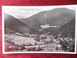 AUSTRIA / SCHNEEBERG - WALDEGG / 1932 - Schneeberggebiet