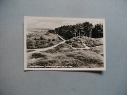 SCHIERMONNIKOOG  -  Schelpenpad Langs Bos En Duin -  Pays Bas - Schiermonnikoog