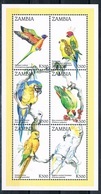 Bloc Sheet Oiseaux Perroquets Birds Parrots Neuf  MNH ** Zambia Zambie 1998 - Perroquets & Tropicaux