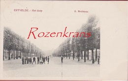 Ertvelde 1908 Het Dorp Geanimeerd (in Zeer Goede Staat) Evergem Oost-Vlaanderen Edit. R. Meuleman - Evergem