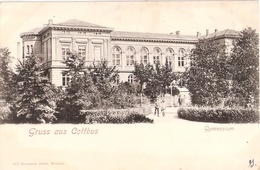 Gruss Aus COTTBUS Gymnasium Belebt Ungeteilte Adressrückseite 1905 Oder Früher - Cottbus