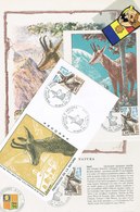 ANDORRE 3 DOC. Encart+FDC+Maximum Tematique Nature Isard Timbre Yvert 274 - Other & Unclassified