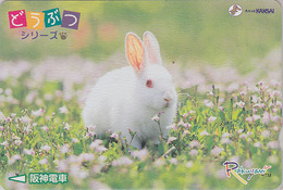 Rare Carte Prépayée JAPON / Série Animaux Rakuyan - ANIMAL - LAPIN ALBINOS - RABBIT JAPAN Prepaid - KANINCHEN - 312 - Conejos