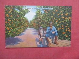 Black AmericanaAmong The Orange Groves Florida>   4062 - Black Americana