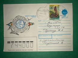 Cover ,Turkmenistan 1996 ( Snake Stamp ) - Turkmenistan