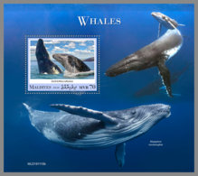 MALDIVES 2020 MNH Whales Wale Baleines S/S - OFFICIAL ISSUE - DH2017 - Baleines