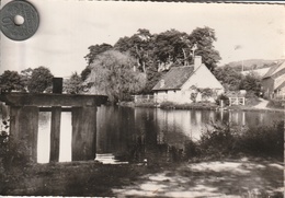 58 -Très Belle Carte Postale Semi Moderne De  SAINT HONORE LES BAINS  L'Etang De Seu - Saint-Honoré-les-Bains