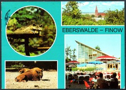 8101 - Eberswalde Finow - Tierpark Zoo - Bild Und Heimat Reichenbach - Eberswalde