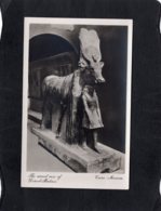 94011    Egitto,  The  Sacred  Cow Of  Deir-el-Bahari,  Cairo  Museum,  NV - Musea