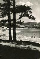 SAINT FERREOL LA PLAGE DU BASSIN - Saint Ferreol