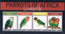 Bloc Sheet Oiseaux Perroquets Birds Parrots Macaws Neuf  MNH **  Sierra Leone 2014 - Pappagalli & Tropicali