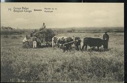 Carte Neuve N° 42. Vue: 70. Kisantu. - Récolte Du Riz. - Entiers Postaux