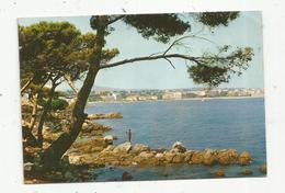 Cp,  06 , ANTIBES , écrite - Antibes - Old Town