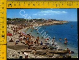 Bisceglie Spiaggia - Bisceglie