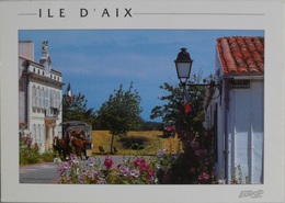 Cartes Postales ILE D'AIX Les Calèches Musée Napoléon - Poitou-Charentes