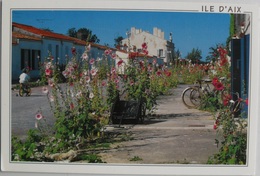 Cartes Postales ILE D'AIX Animée..belle Rue Fleurie De Roses Trémières - Poitou-Charentes