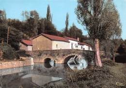 BIDACHE - Le Vieux Pont Sur Le Lihoury Et Le Moulin Roby - Bidache