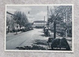 Cartolina Illustrata Imola - Viale Alla Stazione - Imola