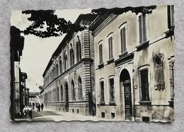 Cartolina Illustrata Imola - Via Cavour - Scuole Carducci - Imola