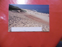 Beautiful Cape Cod - White Crest Beach, Well Fleet - Cape Cod