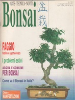 Bonsai Italiano. N. 2.  Luglio/settembre 1991 - Casa, Giardino, Cucina