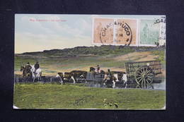 ARGENTINE - Affranchissement De Chacabuco Sur Carte Postale En 1913 Pour La France - L 60867 - Cartas
