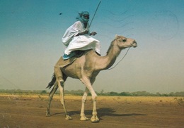 Chamelier Sur Les Rives Du Sénégal. - Mauritanië