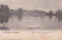 La Hulpe - Les étangs Et Le Château Orban - Cygnes - Circulé En 1900 - Dos Non Séparé - TBE - La Hulpe