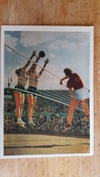 Old USSR Postcard - VOLLEYBALL- Sport Serie - 19556- Rare Edition! - Pallavolo