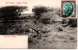 SOUDAN  PORT SUDAN   JARDIN PUBLIC - Soudan