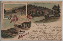 Gruss Aus Sihlwald - Holzsägerei, Bahnhof, Forsthaus, Restauration - Litho - Wald