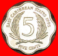 · SCALLOPED (1981-2000): EAST CARIBBEAN TERRITORIES ★ 5 CENTS 1995 MINT LUSTER! LOW START ★ NO RESERVE! - Caribe Oriental (Estados Del)