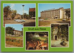 Riesa - Mehrbildkarte 2 - Riesa