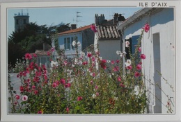 Cartes Postales ILE D'AIX Belle Rue Fleurie De Roses Trémières Et Le Sémaphore N°174931M - Poitou-Charentes