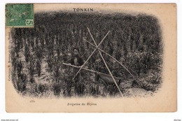 Sur Carte Postale Tonkin Timbre Indochine CAD Tonkin. (1372) - Lettres & Documents