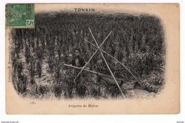 Sur Carte Postale Tonkin Timbre Indochine CAD Tonkin. (1372) - Briefe U. Dokumente